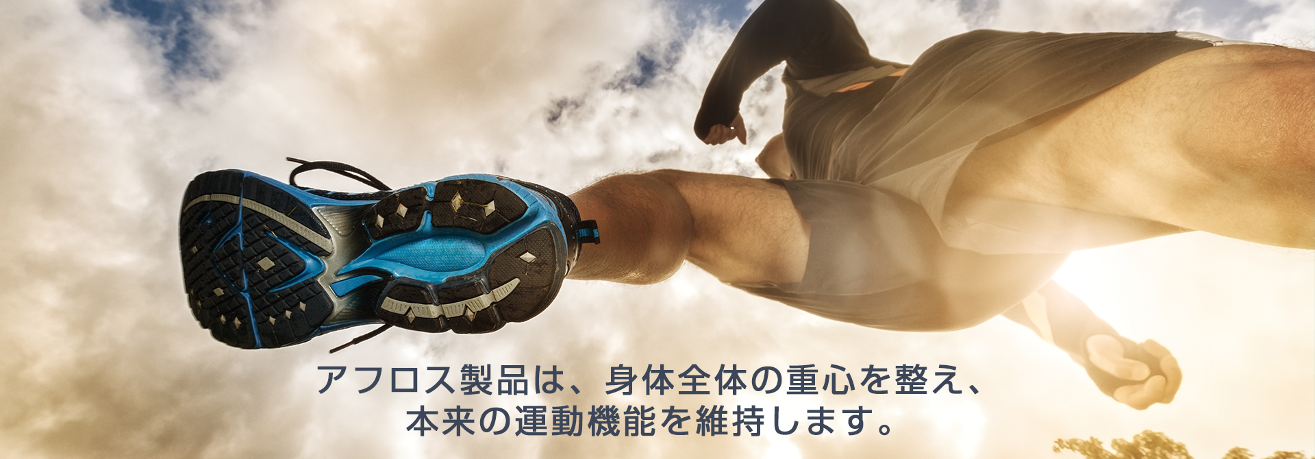 アフロスとエルウェーブの公式サイト